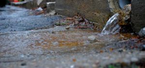 Stormwater exiting a pipe and flowing on the ground.