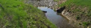 ditch and field tile with standing water