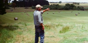 Farmer standing in a field pointing toward rolled hay bales.