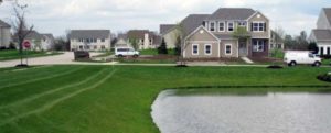 Suburban neighborhood with houses lining a pond and neatly mowed lawns.
