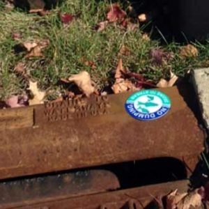 delaware-county-soil-and-water-storm-drain-labeling
