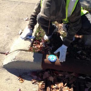 delaware-county-soil-and-water-storm-drain-labeling-volunteer2