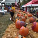 pumpkin painting