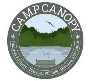 Camp Canopy logo showing nature