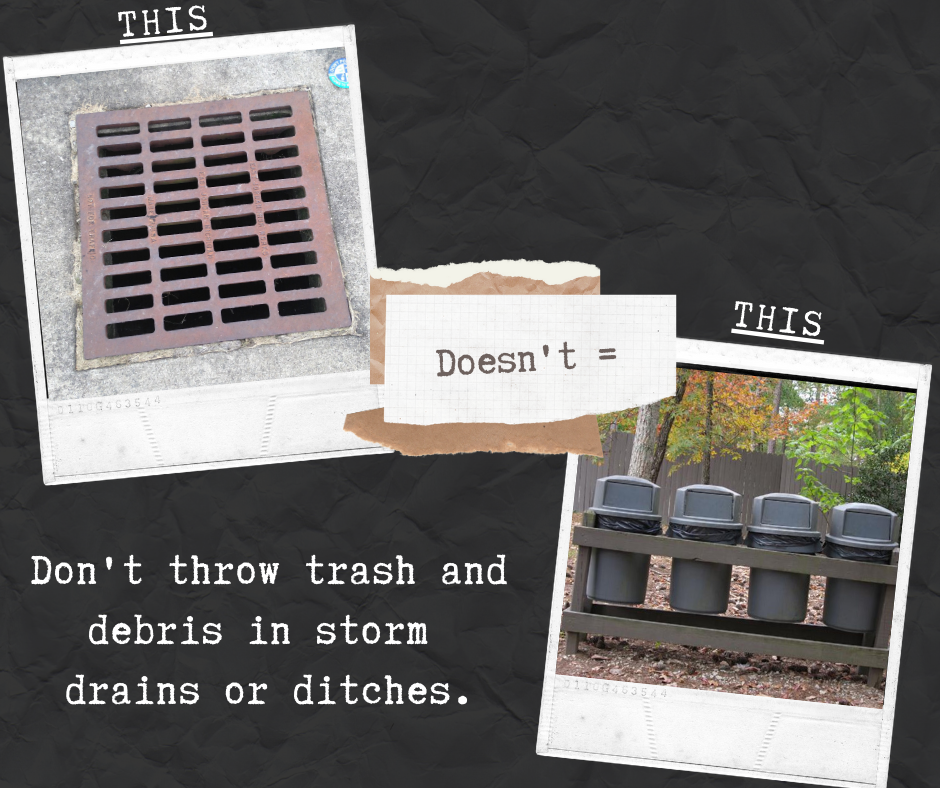 infographic no dumping in storm drains