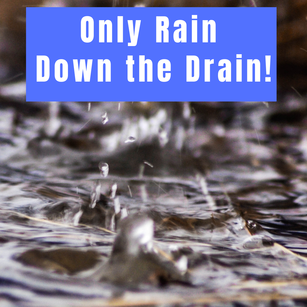Only Rain Down the Drain! Soil and Water