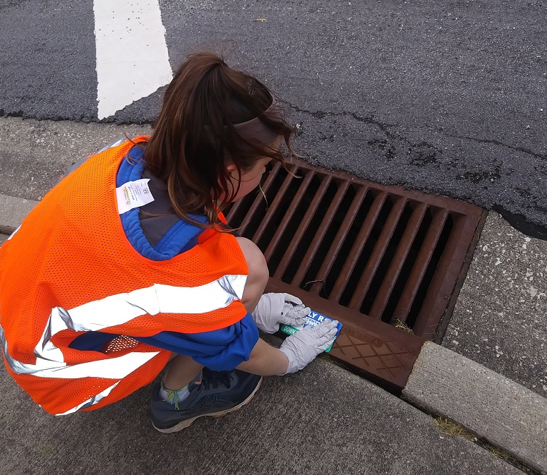 girl placing storm drain label